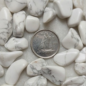 Howlite TINY Tumbled Crystals (Includes 10 grams)