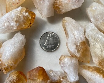 May include: A collection of raw, natural citrine crystals in various sizes and shapes. The crystals are a mix of clear and yellow, with some having a slight orange hue. The crystals are arranged on a white surface, with a Canadian dime for scale.