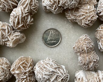 May include: A collection of desert rose crystals, also known as selenite rose, in various sizes and shapes. The crystals are a light brown color and have a delicate, layered structure. A Canadian 10-cent coin is included for scale.