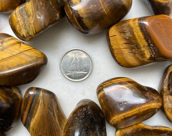 Tiger Eye Gold MEDIUM Tumbled Crystal