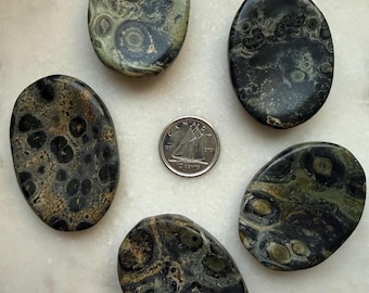 May include: Five oval-shaped leopard jasper stones with a coin in the center. The stones have a mix of green, brown, and black patterns. The coin is a Canadian dime.