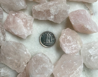May include: A collection of raw, light pink rose quartz crystals. The crystals vary in size and shape, with a rough, natural texture. A Canadian dime is included for size reference. The crystals are scattered on a white surface.