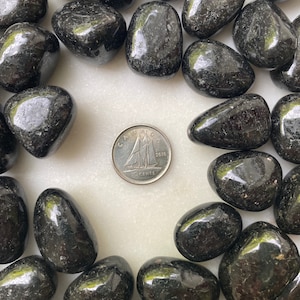 Nuumite SMALL Tumbled Crystal