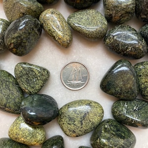 1 Green SNAKESKIN Jasper Palm Stone for Protection Jewelry & Crafts #SJ03 