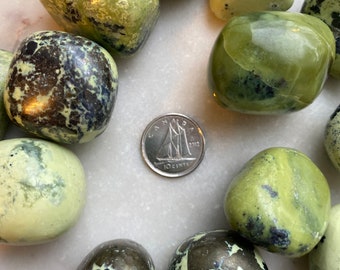May include: A collection of ten tumbled green serpentine stones with black and white marbling. The stones are smooth and polished, and they are arranged in a circle on a white surface.