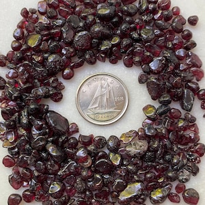Peut inclure: Une image en gros plan d'un tas de petites pierres précieuses rouge foncé, disposées en cercle autour d'une pièce de monnaie canadienne de 10 cents. La pièce est datée de 2016.