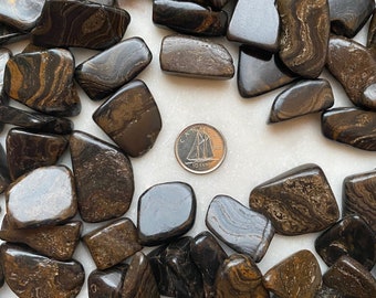 May include: A selection of polished stones in brown and black hues, featuring distinctive swirling patterns. A Canadian 10-cent coin is included for scale. The stones are of various shapes and sizes, with a smooth, glossy finish. The overall aesthetic is natural and earthy.
