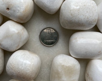 May include: A collection of white tumbled selenite stones, some with a striated pattern, arranged in a circle around a Canadian 10-cent coin.
