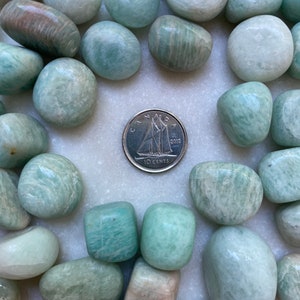 Amazonite "A Quality" X-SMALL Tumbled Crystals (Includes 10 grams)