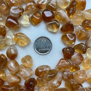 Heat-Treated Citrine “E Quality” Tumbled Crystals (Includes 10 grams)