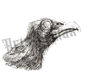 Raven Bird Decor 5x7 Art Print Wall Decor for Bird Watcher Gothic Edgar Allen Poe Fan Crow Animal Decor for Bird Lover