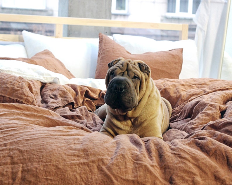 May include: A Shar-Pei dog with a tan coat and dark muzzle resting on a bed covered in a rumpled, solid rust-colored linen duvet cover and matching pillowcases, with white pillows visible in the background behind the dog.