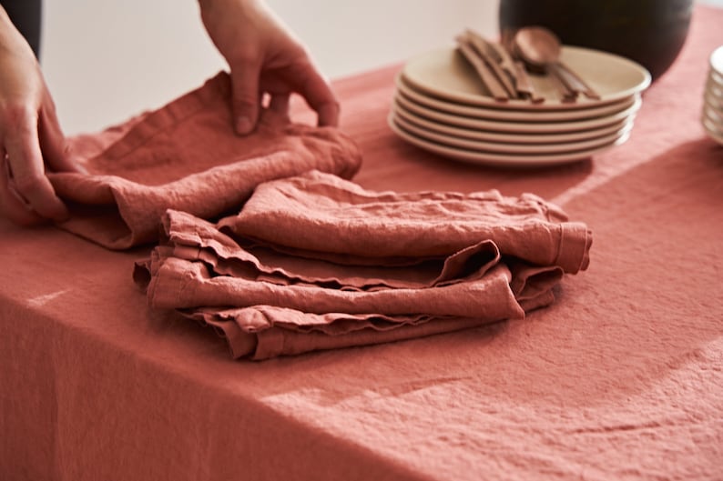 Lot de 4 serviettes de table en lin, serviettes de table en lin, serviettes en lin doux, linge de table rustique, linge de table bohème, décoration de table rustique Canyon Clay