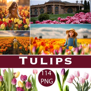Flower photo overlays, Tulip png, Digital overlay, flowers clipart, flower summer spring overlay, flower field overlays, flowers background