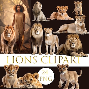Lions clipart, Lions overlays, Cute animal png, Lions png, Baby lion, Forest animal overlays, Lion digital overlay, Animal digital  overlays