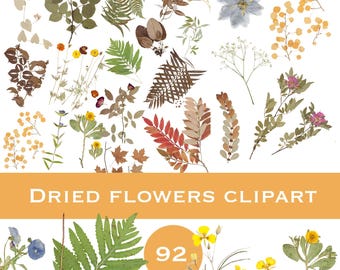 Dried flowers digital, Flowers Herbarium png, Dry Herb overlays, Dried Wildflowers, Dried Bouquet, Transparent PNG Bundle, Collage Printable