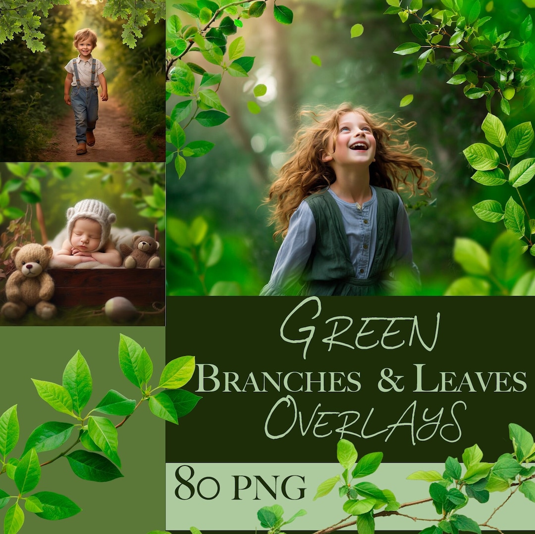 Green Branches and Leaves Overlays, Summer Spring Overlays, Outdoor ...