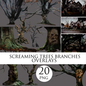 Spooky Tree Face PNG Overlays: Halloween Digital Background