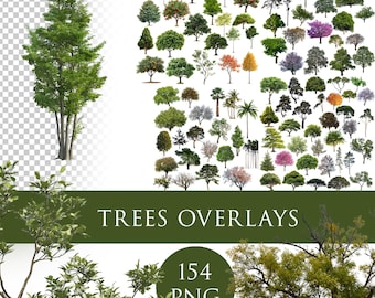 Tree Photo Overlays, Transparent Nature Overlays for Photoshop, Garden Plans, Spring Tree Branches & Leaves PNG