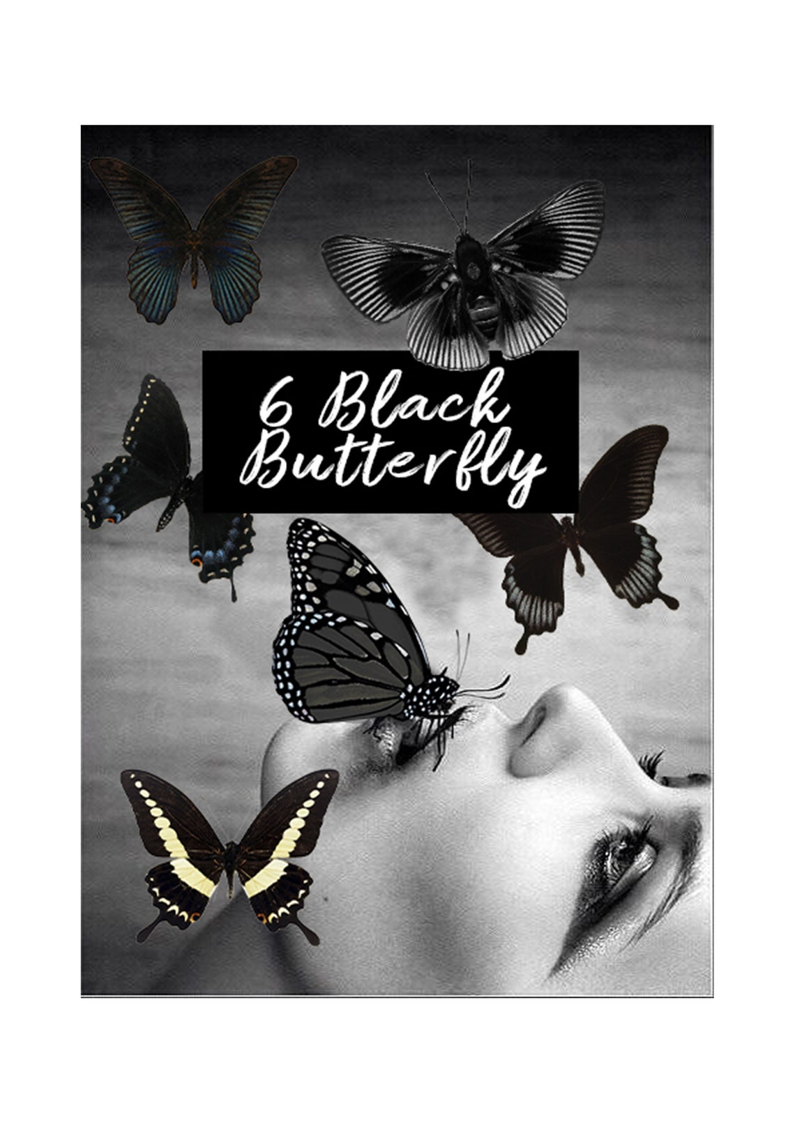 6 Butterflies Photo Overlays Butterfly Overlays for Etsy