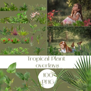 Puede incluir: Una colección de superposiciones de plantas tropicales en varios tonos de verde, algunas con flores rojas y blancas. La imagen incluye un gráfico circular con el texto "100 PNG" y las palabras "Tropical Plant overlays". Dos niños están en el fondo.