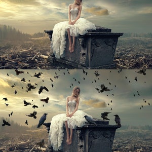 May include: A woman in a white wedding dress sits on a stone tomb in a desolate landscape.  The sky is overcast and there are many crows flying around her.