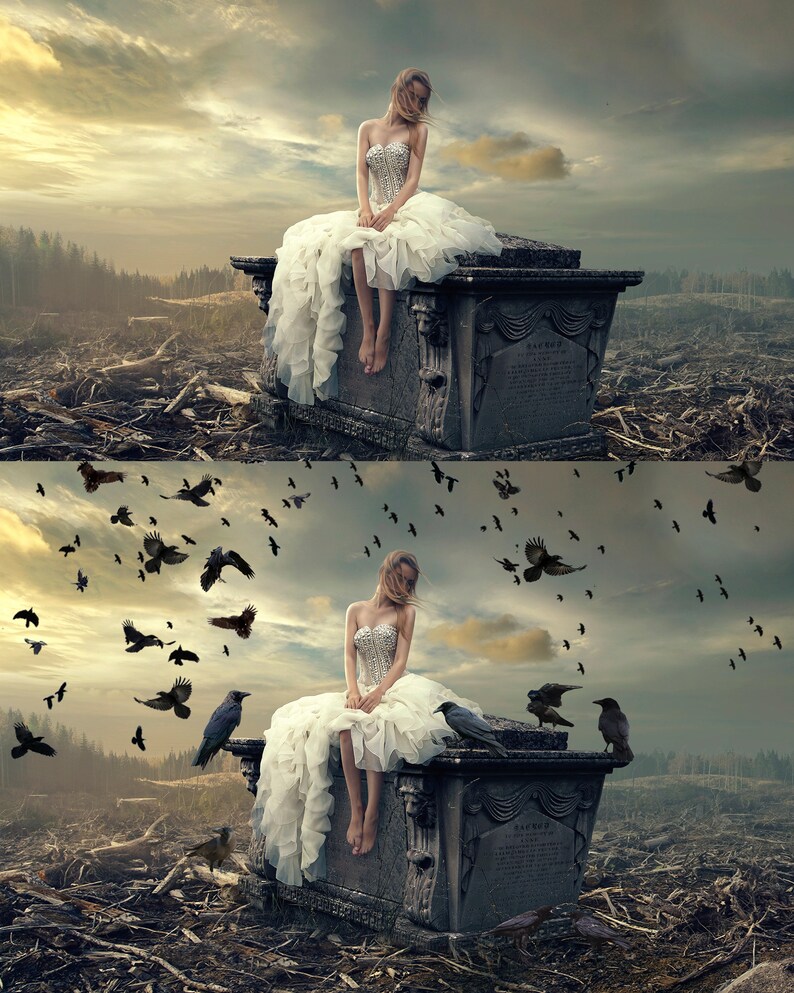May include: A woman in a white wedding dress sits on a stone tomb in a desolate landscape.  The sky is overcast and there are many crows flying around her.