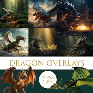 Dragon overlays, Fantasy creatures overlays, Elemental Dragons Digital Bundle, Fantasy Images, dragon clipart, Background for Photographers