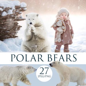 Polar bears overlays, Bear transparent png images, bears photo overlay, animal png, polar bear digital backdrop, winter overlays, bears png