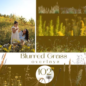 May include: A digital collection of 102 blurred grass overlays featuring various wild meadow plants, tall stalks, and feathery textures in shades of green and gold, presented with the text Blurred Grass overlays 102 on a dark background.