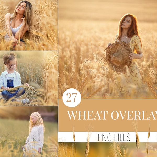 Field overlays, wheat fields overlay, golden  field photo overlays, flower summer spring overlays, pampas png, Ukraine wildflower overlays