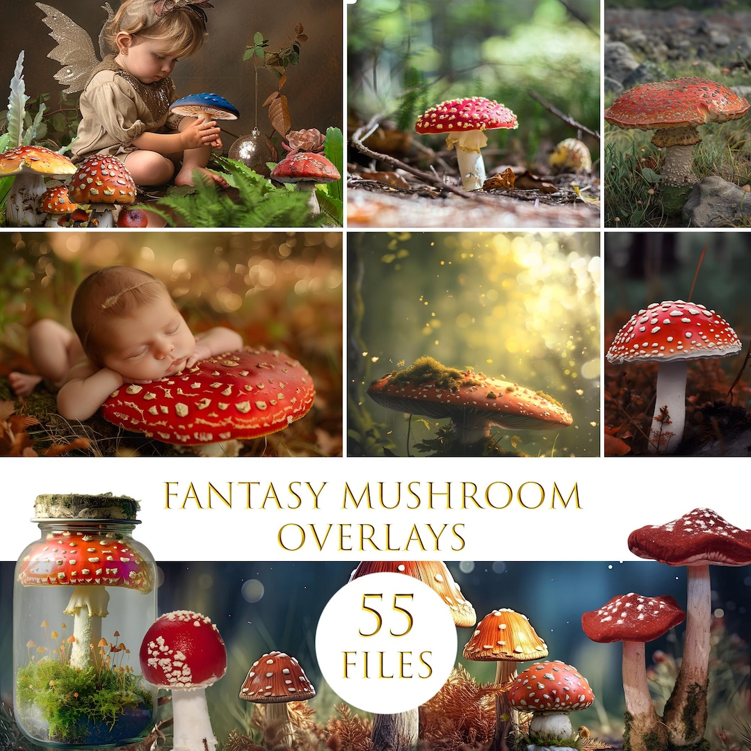 ファンタジーキノコの写真オーバーレイ：妖精の国のデジタルクリップ