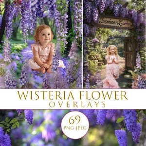 May include: A composite image featuring children in a wisteria garden setting. The image includes a young child in a pink dress surrounded by purple wisteria flowers. Text at the bottom reads "WISTERIA FLOWER OVERLAYS" with a circle containing the number "69".