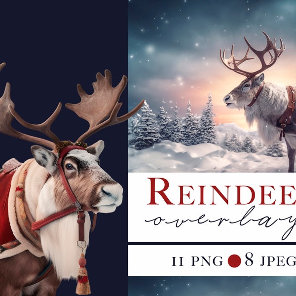 Rentier-Overlays, Weihnachten Rentier Clipart, Hirsch-Overlay, Tier-Overlay, Weihnachten Fotografie Hintergrund, Santa Reh, Weihnachten Hintergrund