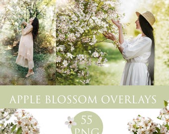 Apple Blossom Overlays, Spring overlays, Blooming spring branch overlays, Apple tree blossom, painted photo layer, flower overlays, clipart