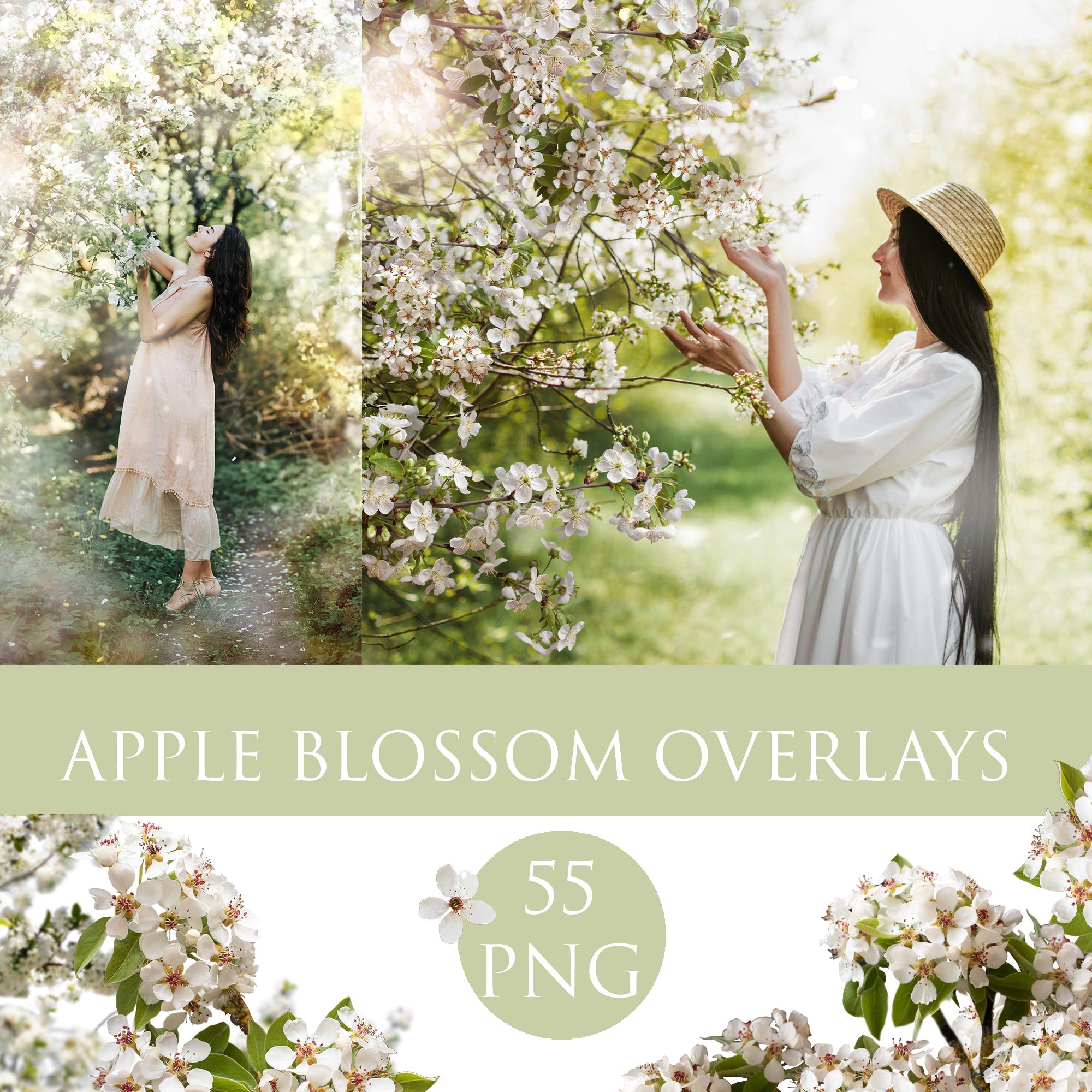 Bloeiende appelboom - Etsy België, image size:2000x2000