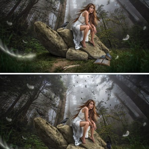 May include: A woman in a white dress sits on a large rock in a misty forest. She has long brown hair and is looking at the camera. There are several crows and white feathers scattered around her.