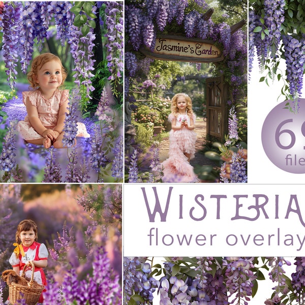 Flower overlays, wisteria png, wisteria tree, wisteria plant, Purple Wisteria Flower Vines Digital,  Floral Backdrops, Flower Garland png