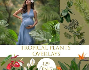 Tropical Plants Overlays PNG Bundle – Jungle Leaves, Palm, Monstera, Botanical Photo Overlays for Photoshop
