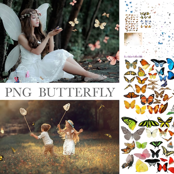 Butterfly Overlays, Butterfly png, Butterfly Photoshop Overlay, Flying Butterfly Photo Overlay, Colorful Butterfly, Butterfly Clip Art png