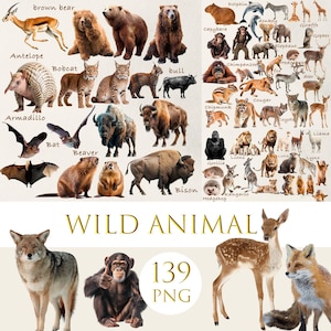 Wild Animal Clipart Bundle: Mammals PNG Images, Mammals png, animal print, Animals Mega Clipart Bundle