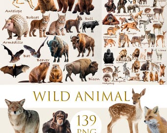 Wild Animal Clipart Bundle: Mammals PNG Images, Mammals png, animal print, Animals Mega Clipart Bundle