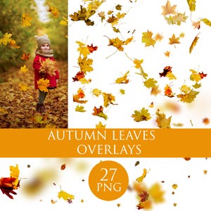 Autumn leaf png, Autumn leaves overlays, Falling Leaves , Fall leaves, fall leave png, autumn leaf png, falling leaf png, digital leaf png