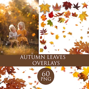 170 Autumn leaves png, autumn leaves photoshop overlay, autumn falling leaves background, fall leave png, autumn leaf png, falling leaf png
