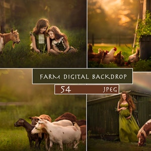 Boerderij digitale achtergrond, digitale achtergrond, boerderijdieren overlays, boerderij digitale photoshop achtergrond, boerderijdieren overlays, fotosessie