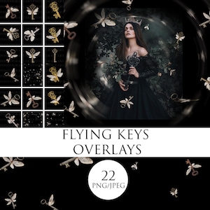 Wizard Flying Keys, Winged Keys png, Wizard Movie flying keys, magical school overlays, magic cosplay, magic halloween overlay, keys clipart