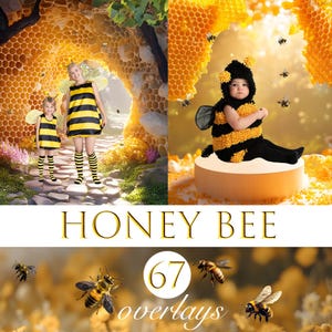 Honey Bee Creative Photo, Digital Backdrop Bee&#39;s Home, Background for Nature and Animal Lover Creative Images For Honey Bee Creative Photo