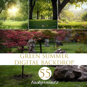 Schöner grüner Sommerwald digitaler Hintergrund, Frühlingshintergrund, Baum mit einem natürlichen Weg für kreative zusammengesetzte Bilder, Naturhintergrund