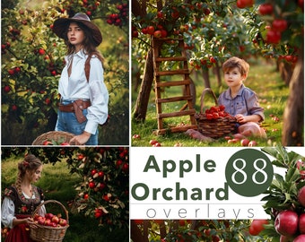 Apple Orchard photo overlays, Shooting Through branch, Apple tree background, Apple tree branch png, Photography Backdrop, Autumn background