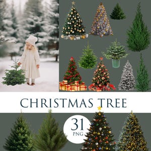 May include: A collection of Christmas trees, some decorated, others plain. A child in a white coat and hat holds a small tree in a snowy forest. The image includes the text "CHRISTMAS TREE" and "31 PNG".